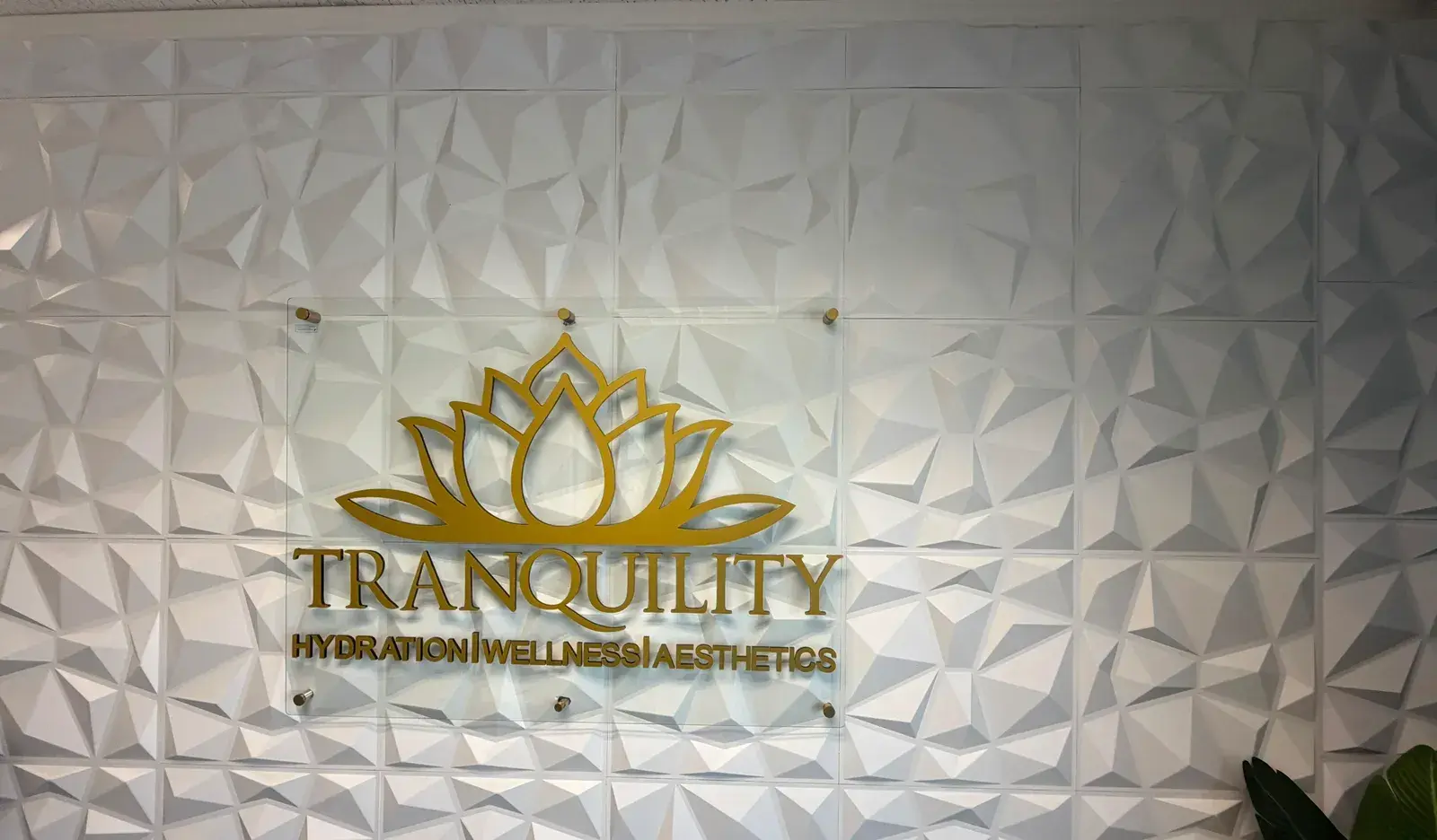 The gold Tranquility lotus emblem mounted on the sculpted white feature wall in the Mansfield studio